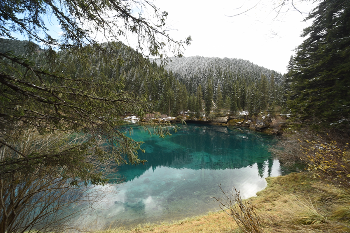 DSC_2066.jpg