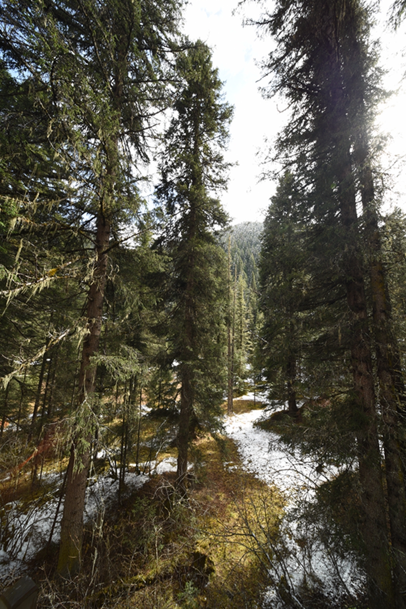 DSC_2079.jpg