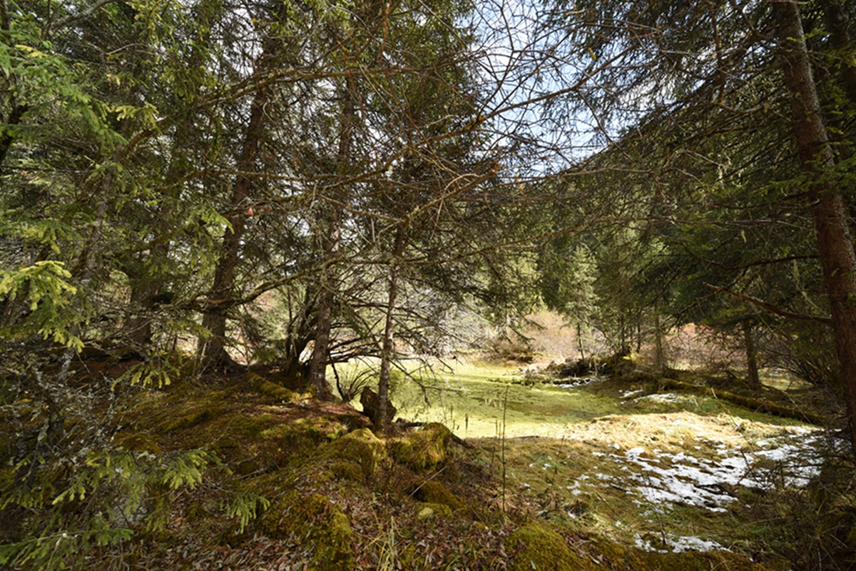 DSC_2089.jpg