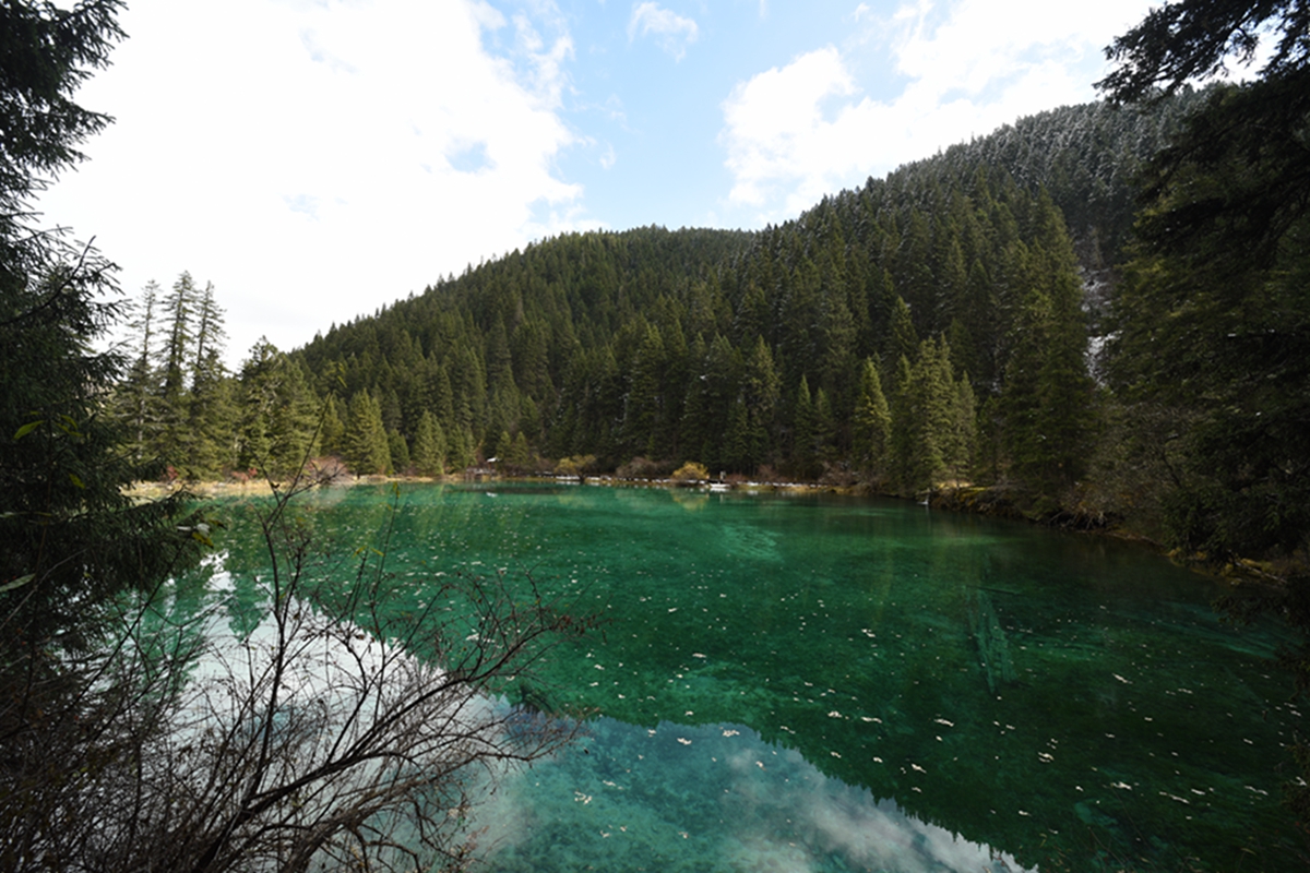 DSC_2093.jpg