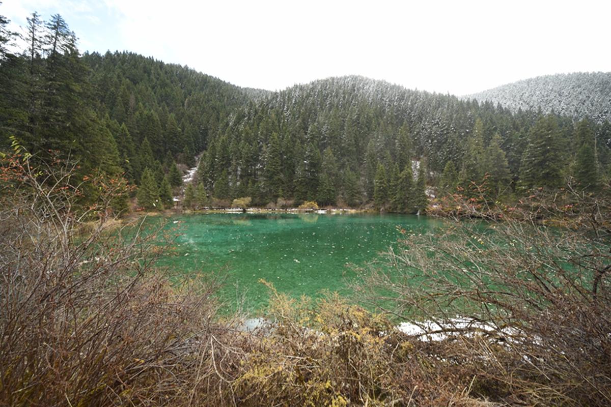 DSC_2103.jpg