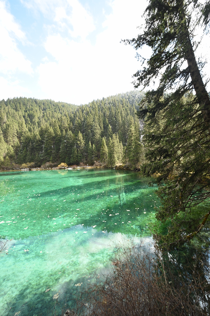 DSC_2097.jpg