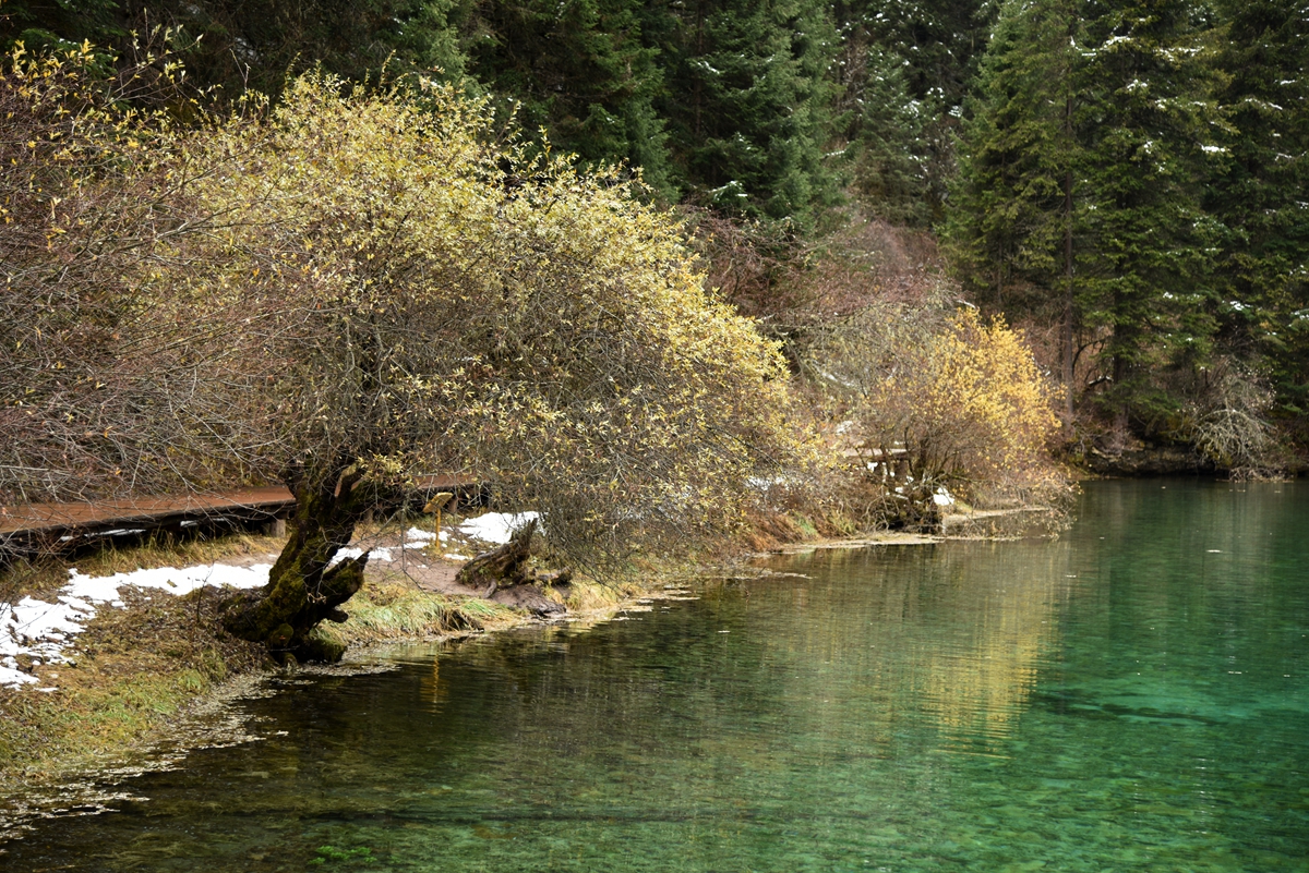 DSC_1793.jpg