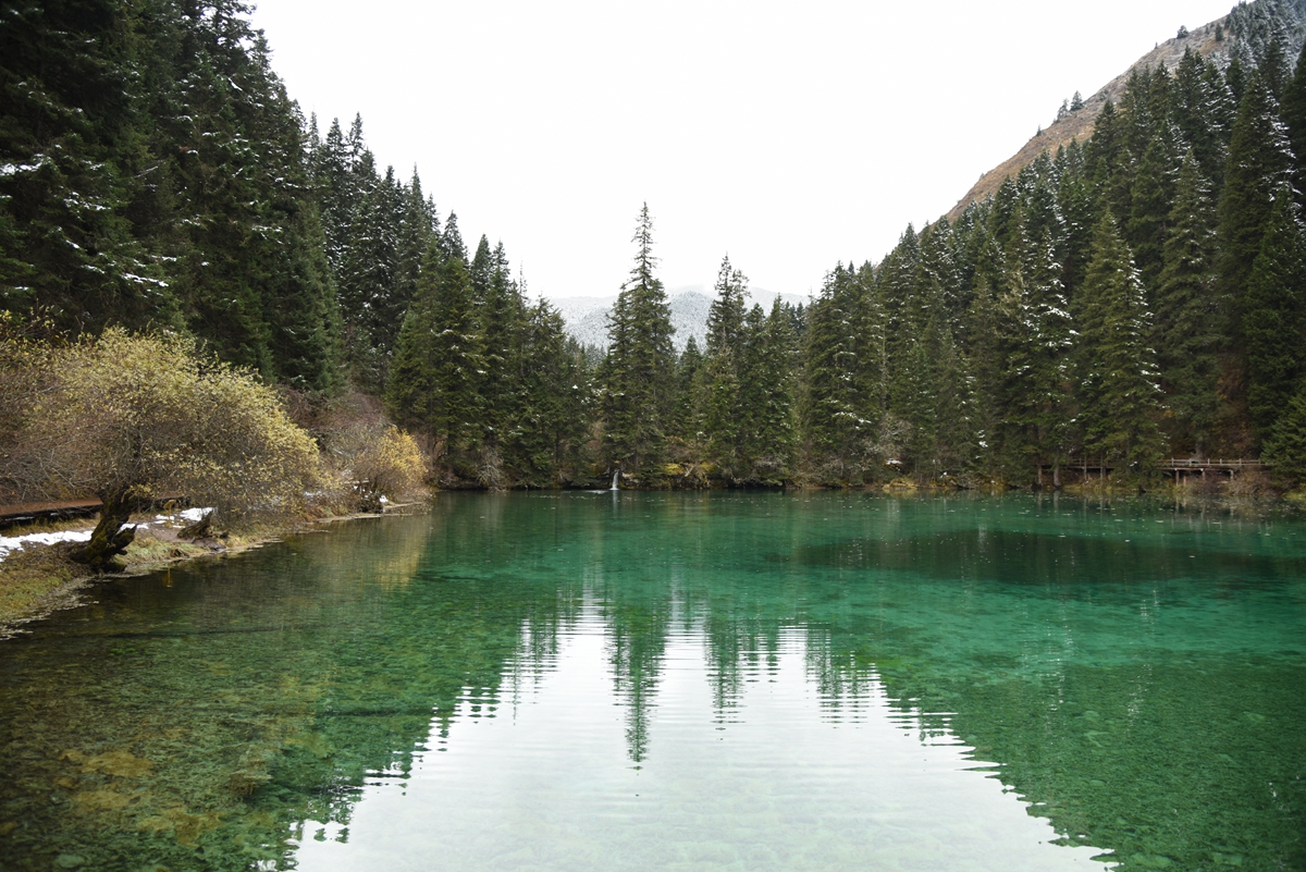 DSC_1795.jpg