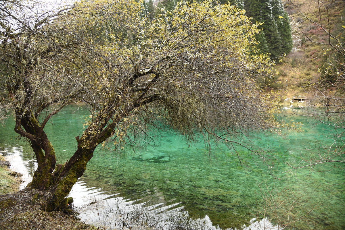DSC_1815.jpg