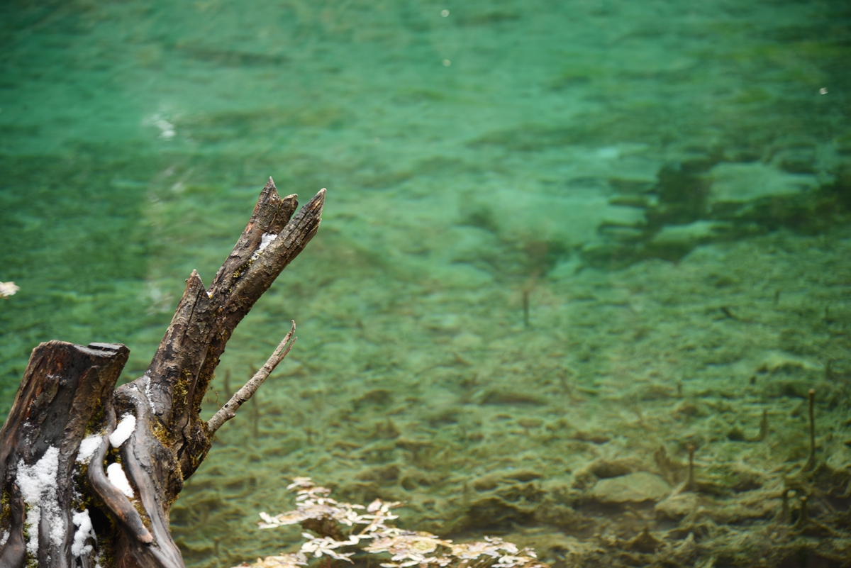 DSC_1822.jpg