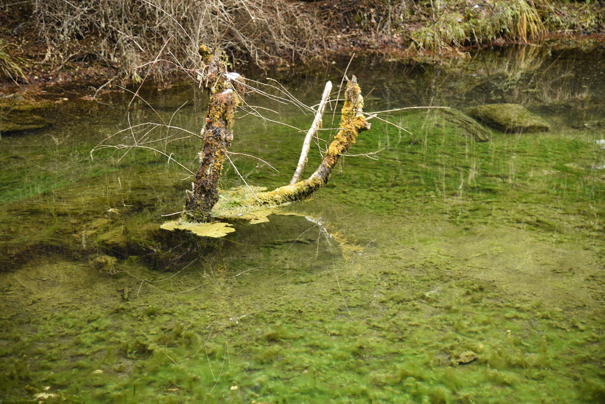 DSC_1858.jpg