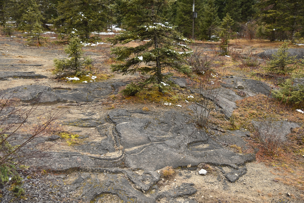 DSC_1870.jpg