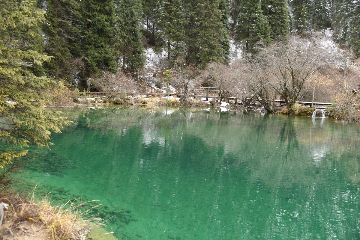 DSC_1925.jpg