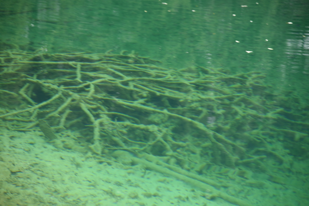 DSC_1912.jpg