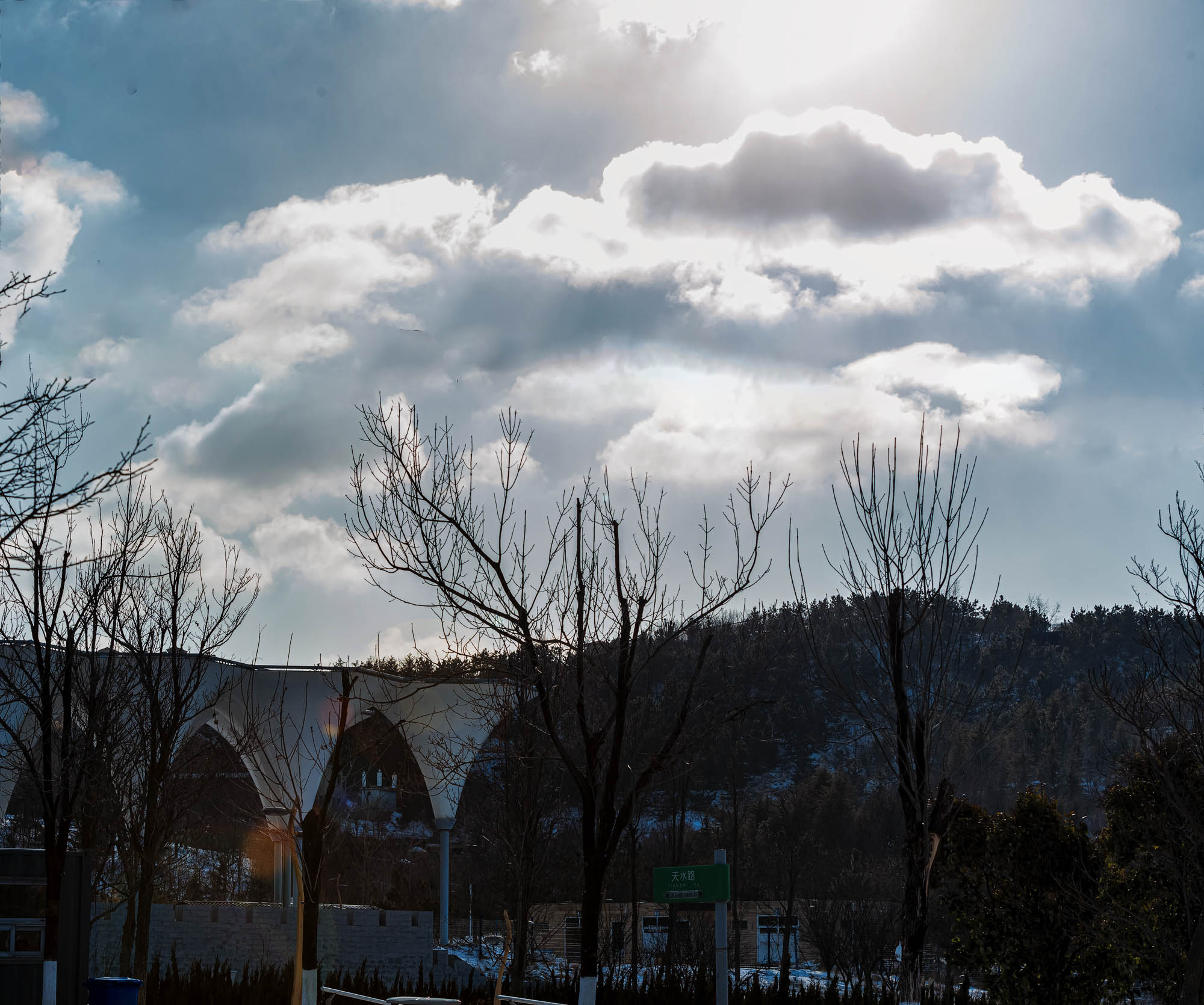 _DSC081-6.jpg
