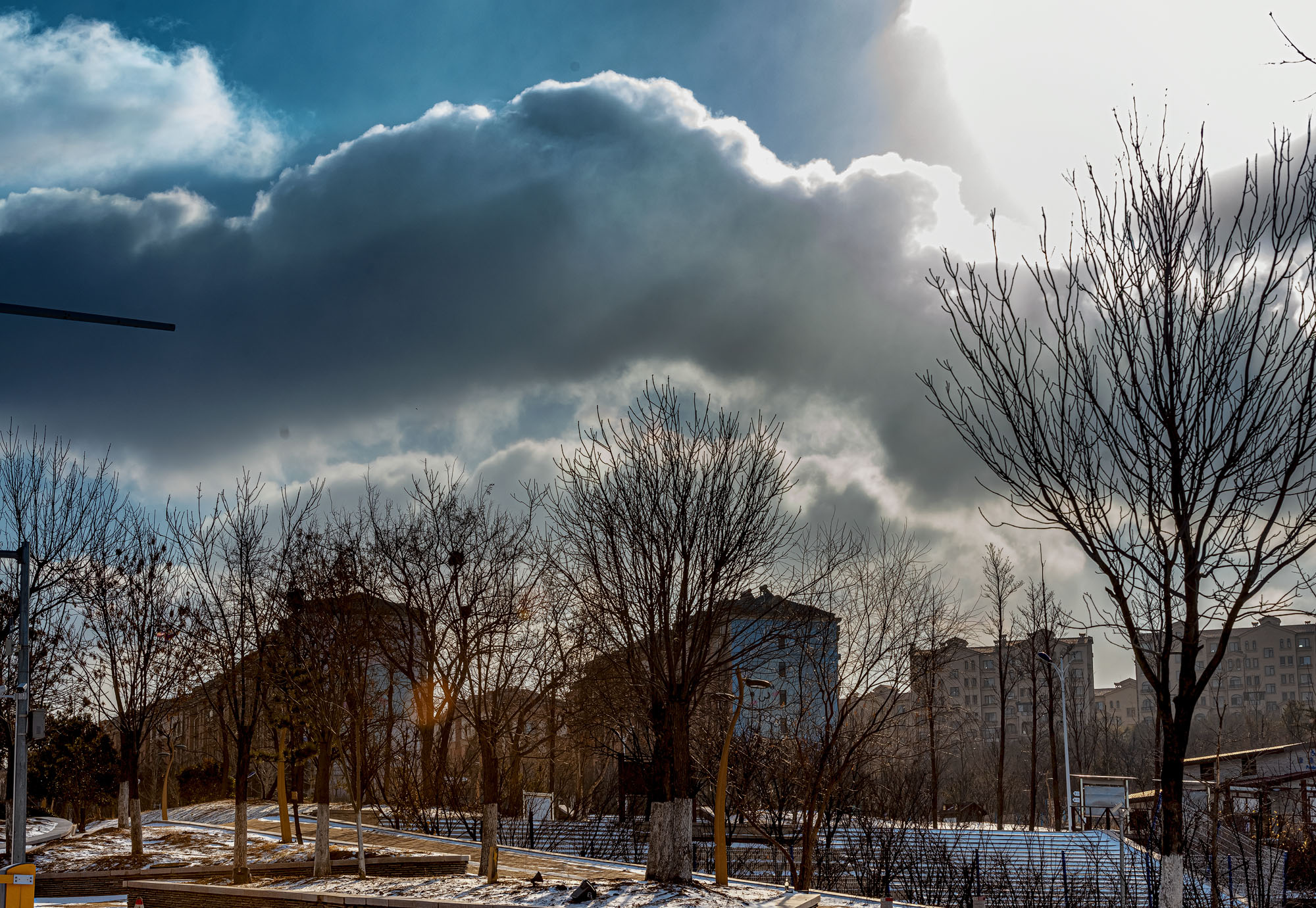 _DSC0813-1.jpg