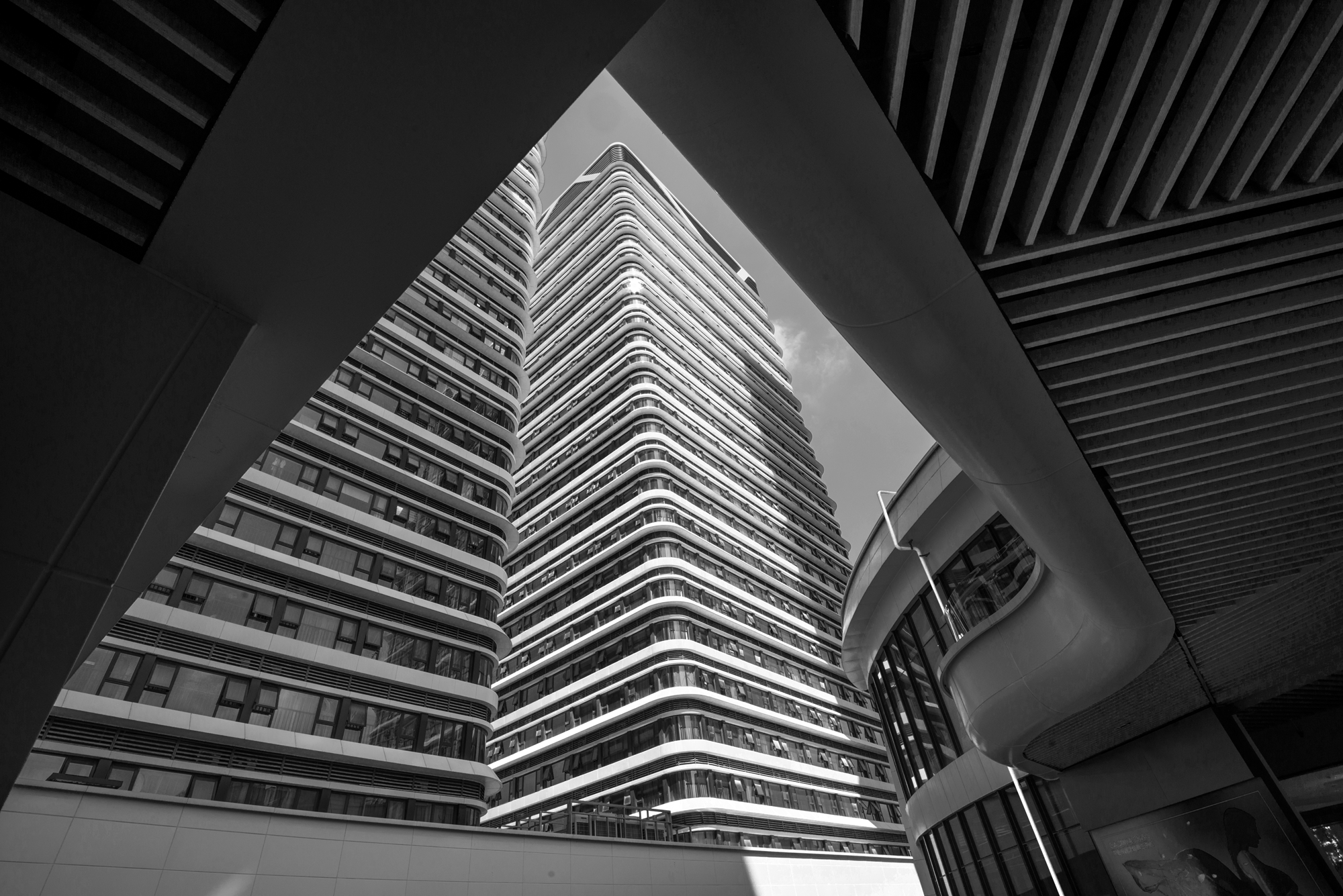 黑白_DSC5372.jpg