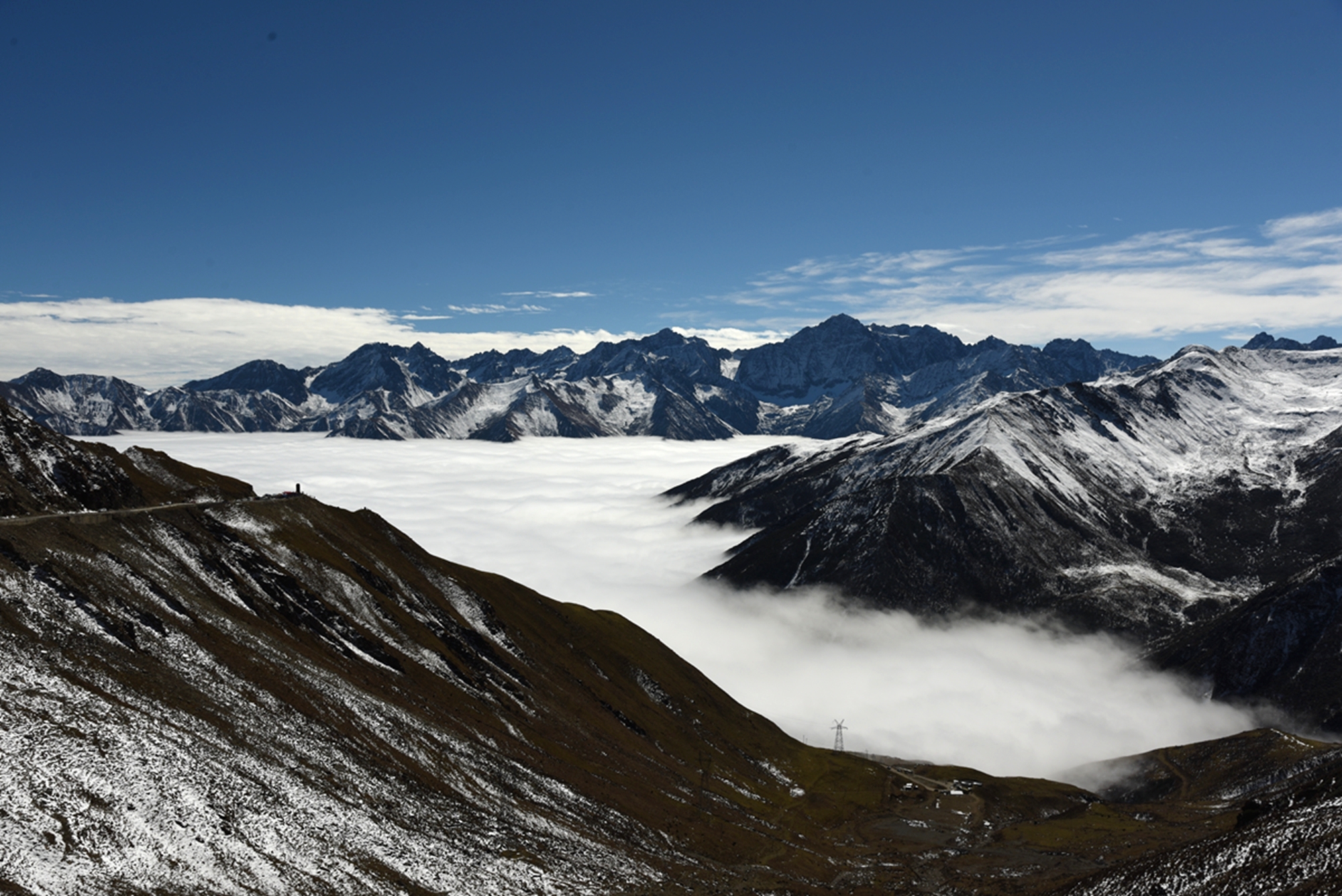 DSC_1455.jpg