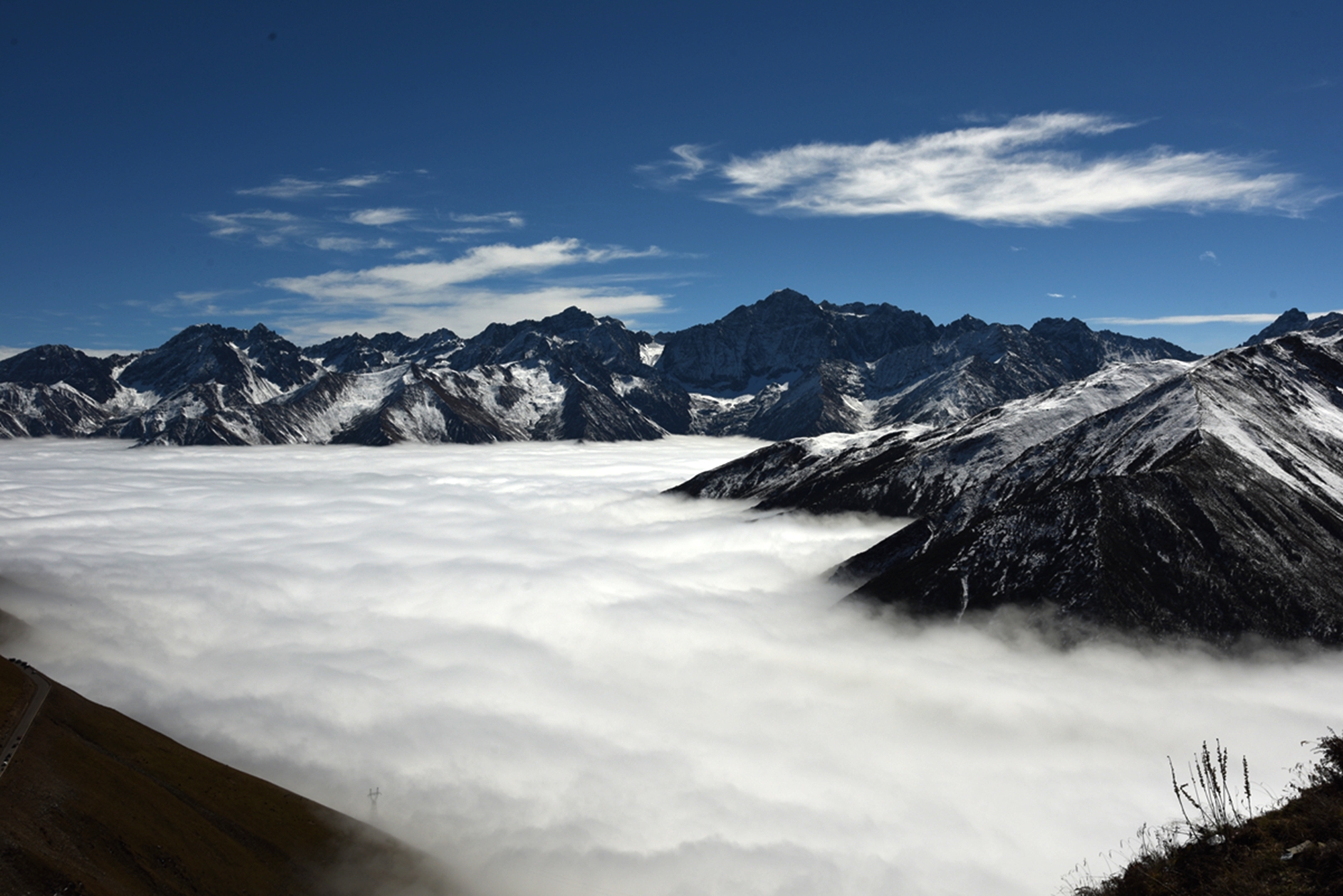 DSC_1495.jpg