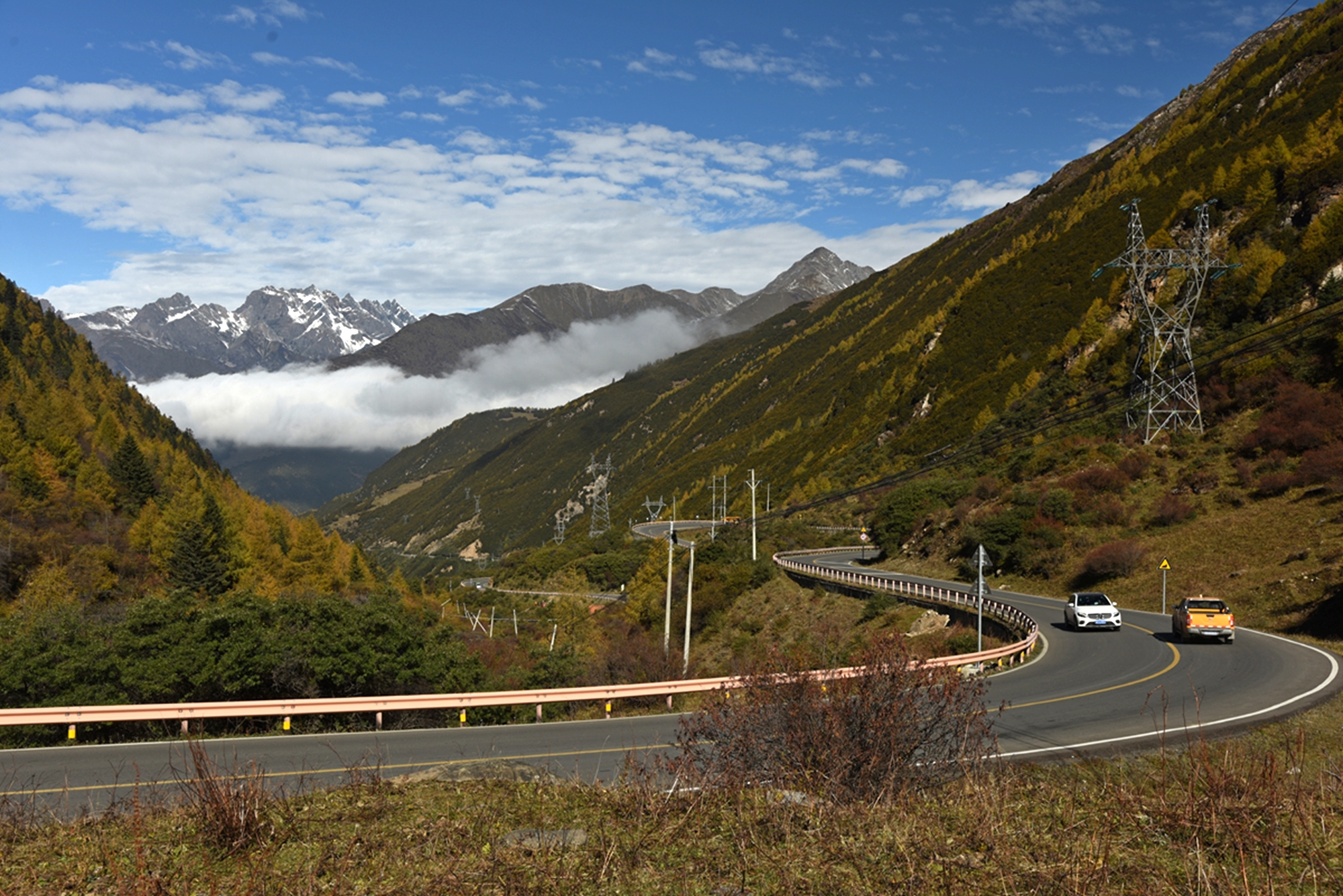 DSC_1382.jpg