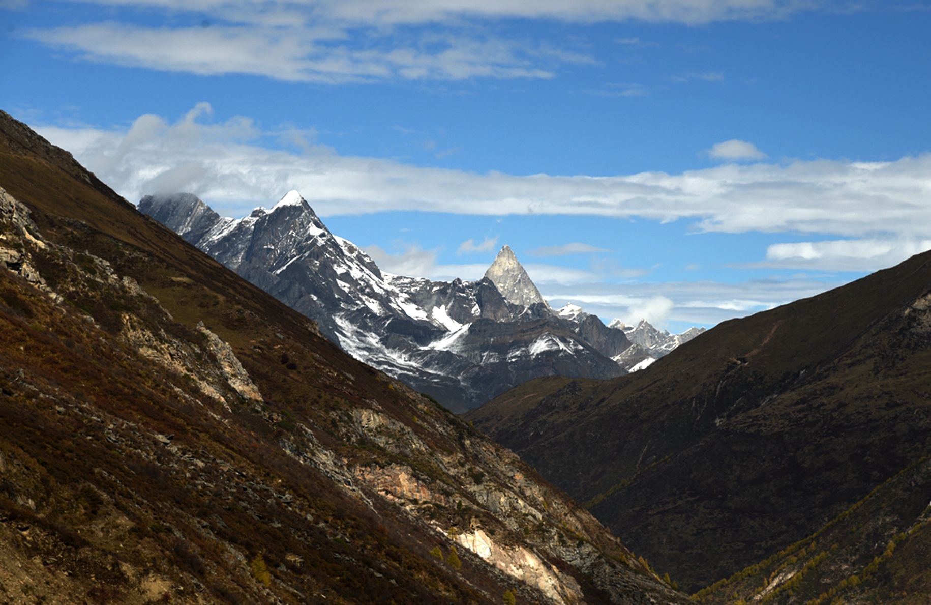 DSC_1393.jpg