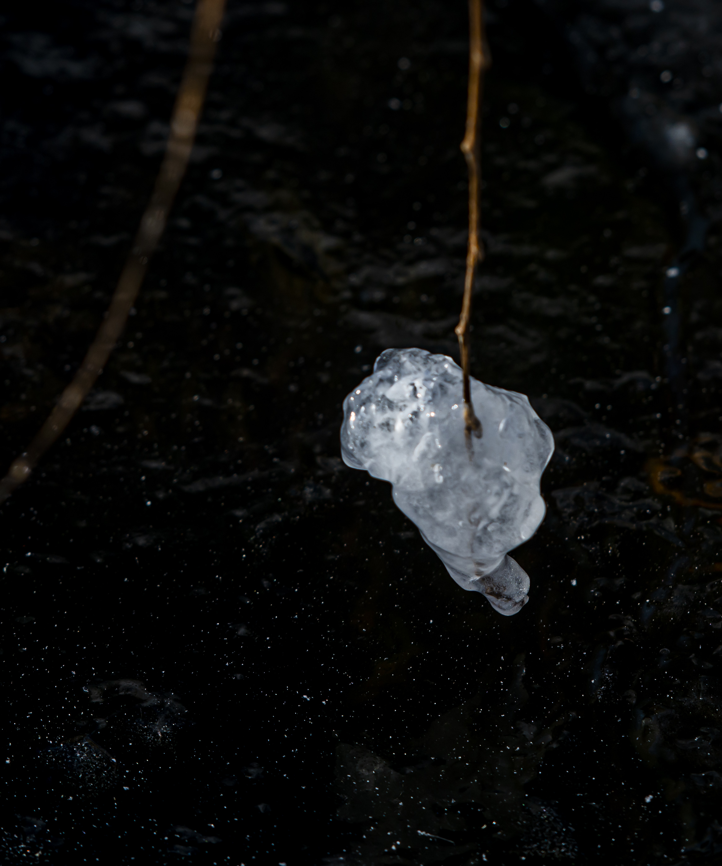 _DSC0910-1.jpg