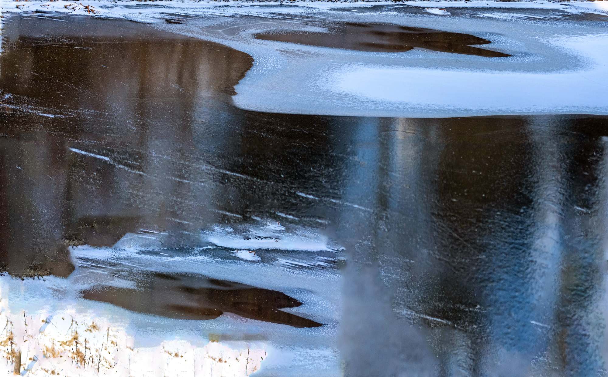_DSC0850-1.jpg