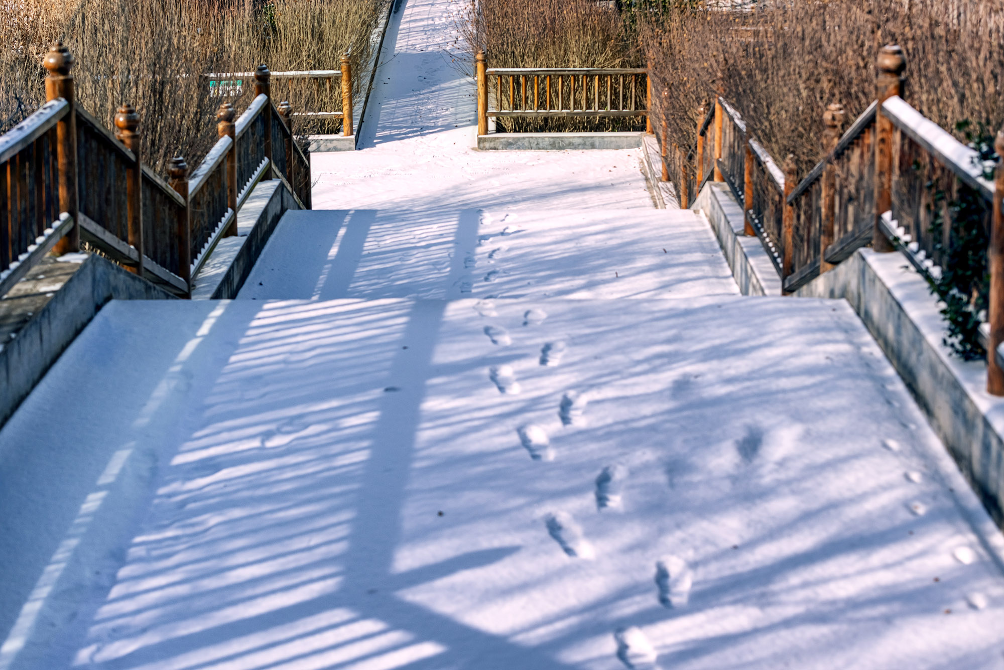 _DSC0864-1.jpg