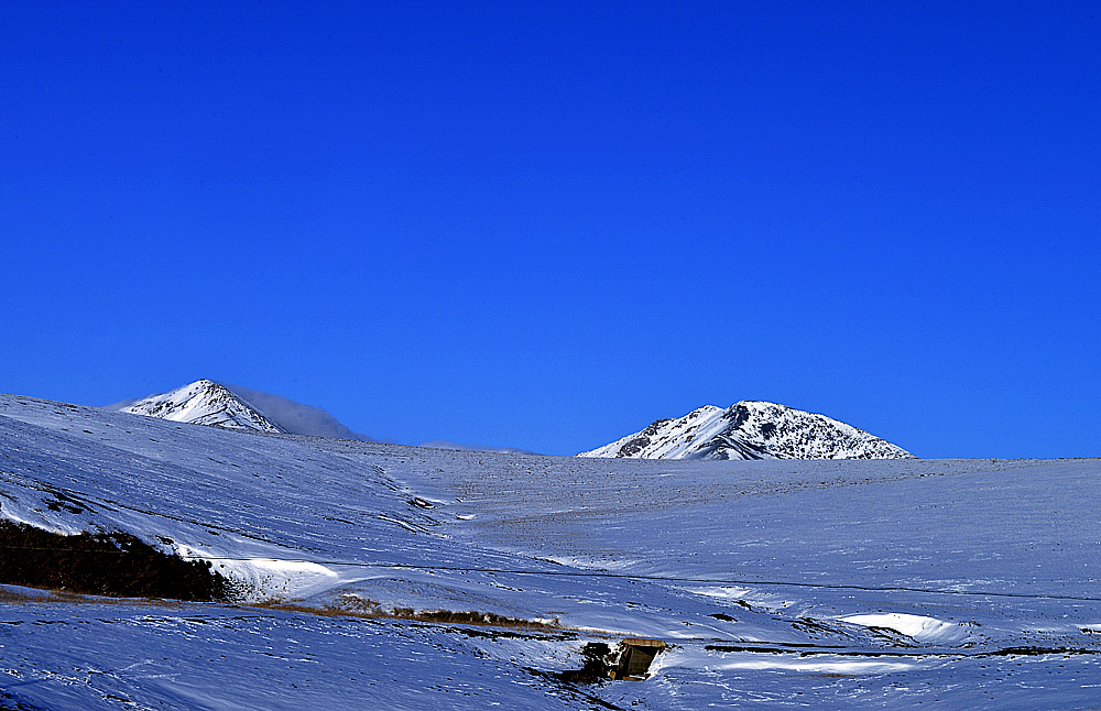 _DSC2446.JPG