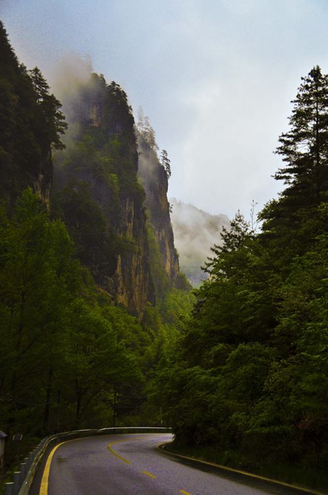 DSC_0602.JPG