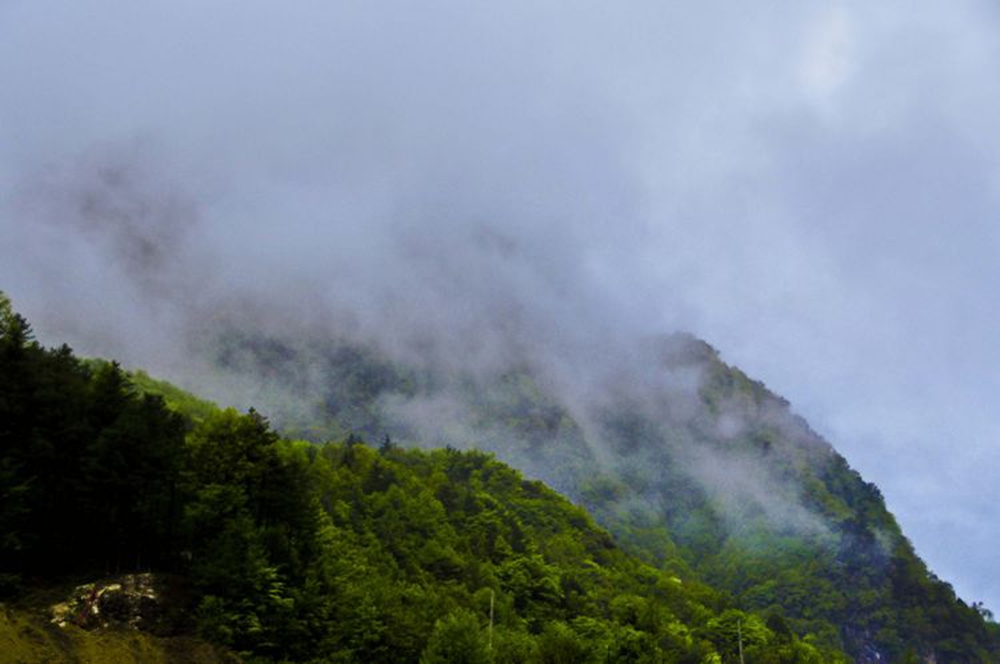 DSC_0577.JPG