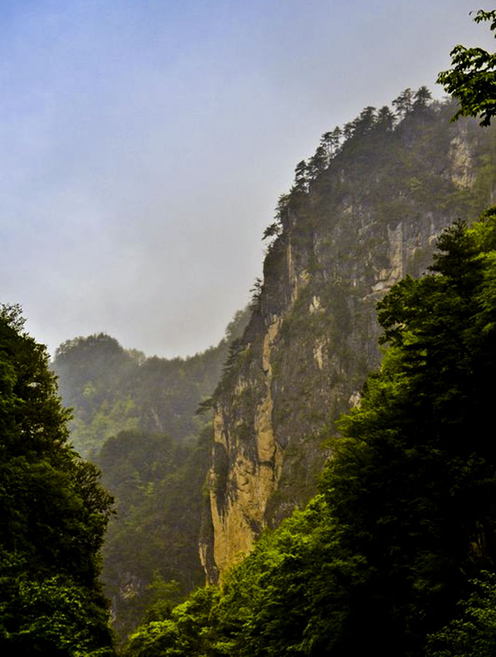 DSC_0604.JPG