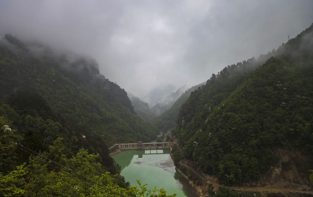 IMG_5243.JPG