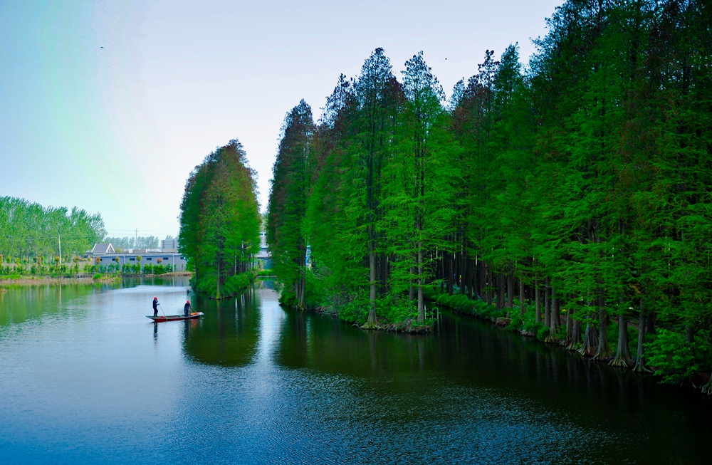 DSC_0006.JPG