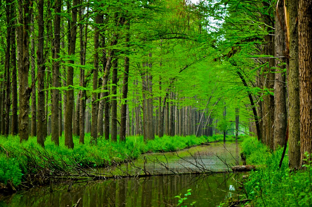DSC_0034.JPG