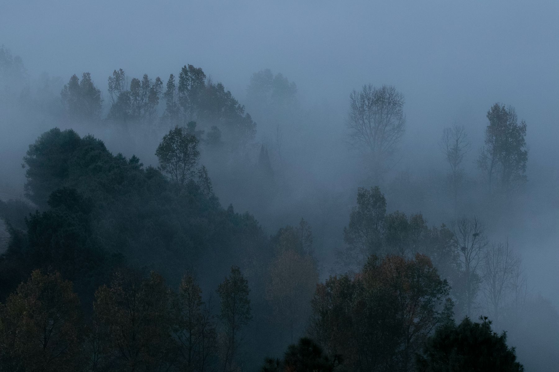 0H1A7063_副本.jpg