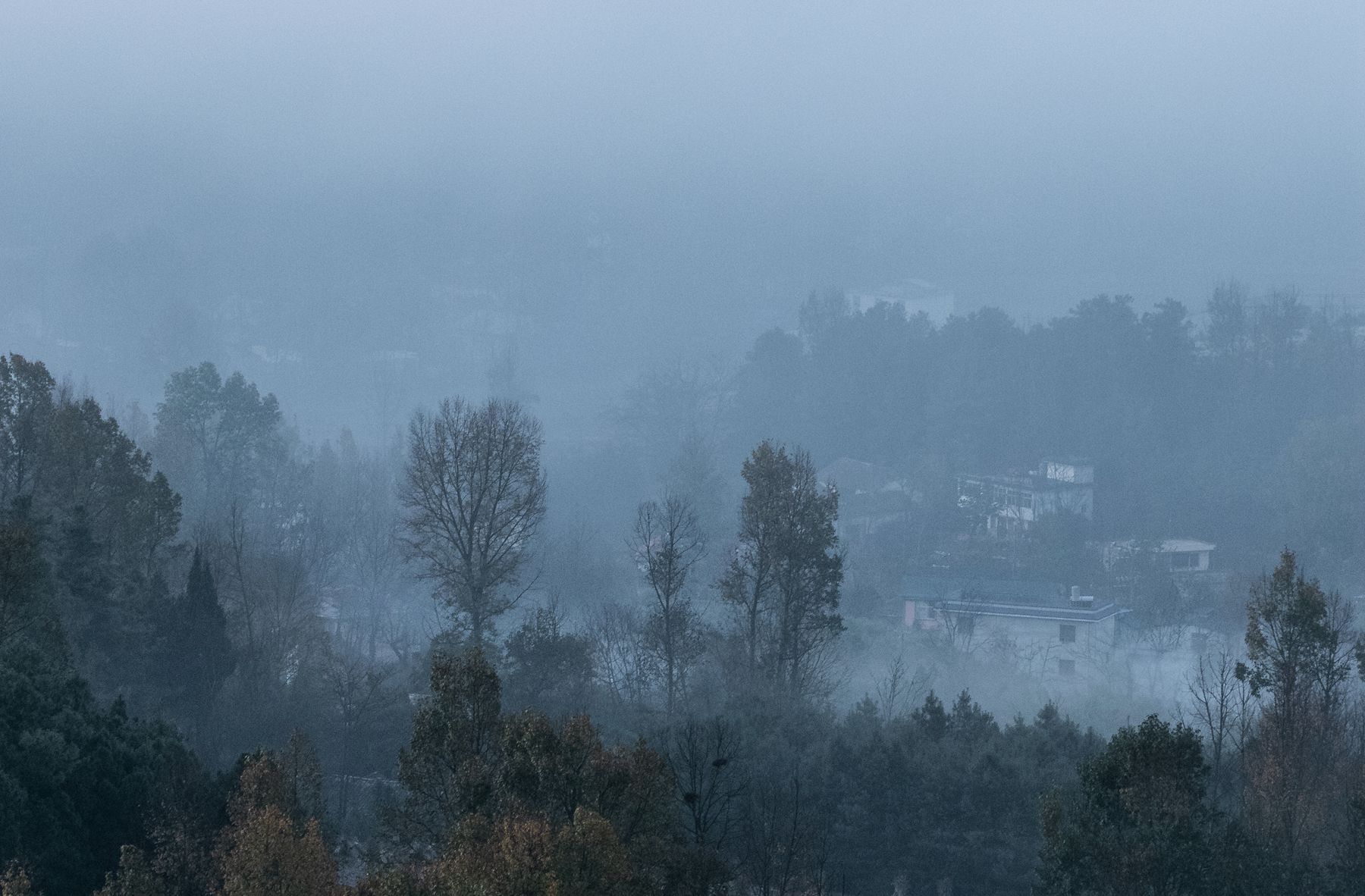 0H1A7088_副本.jpg