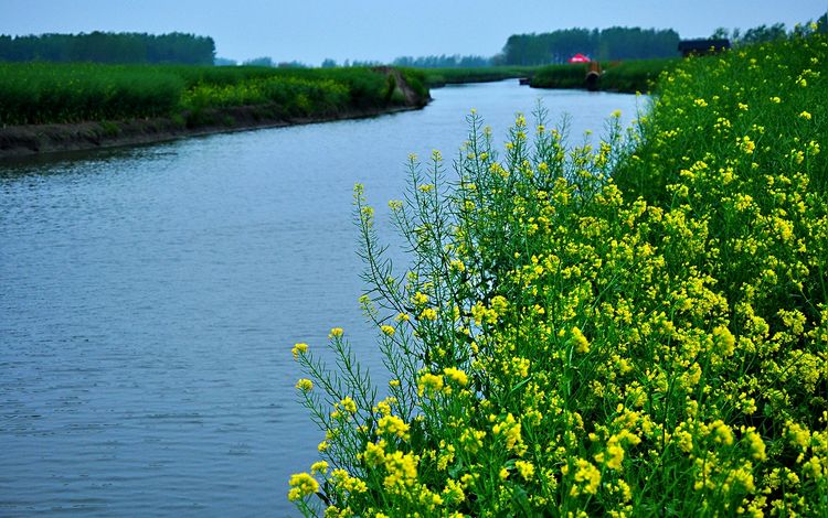 DSC_0097.JPG