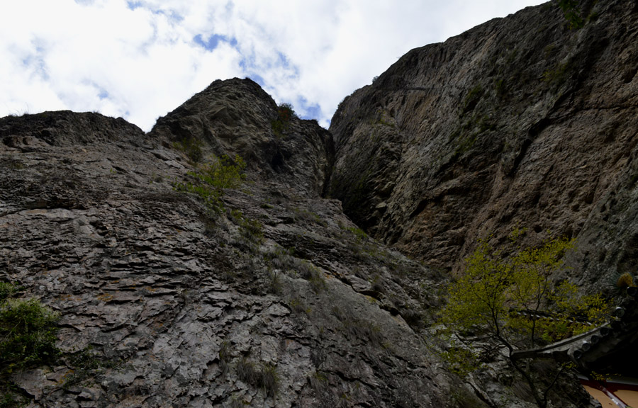 _DSC0144.jpg
