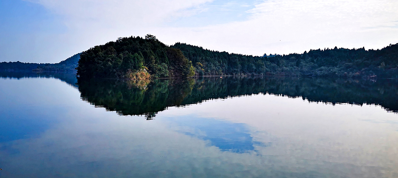 IMG_20201106_102816a.jpg