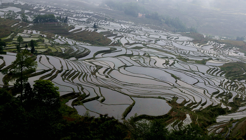 _MG_4512_10元阳梯田.jpg