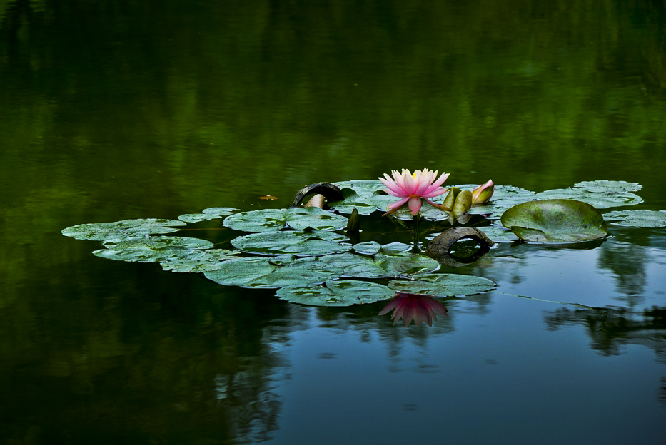 DSC_0010.JPG