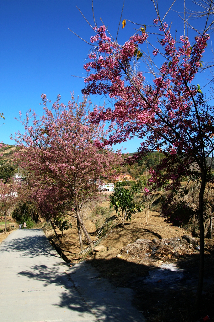IMG_0808.jpg