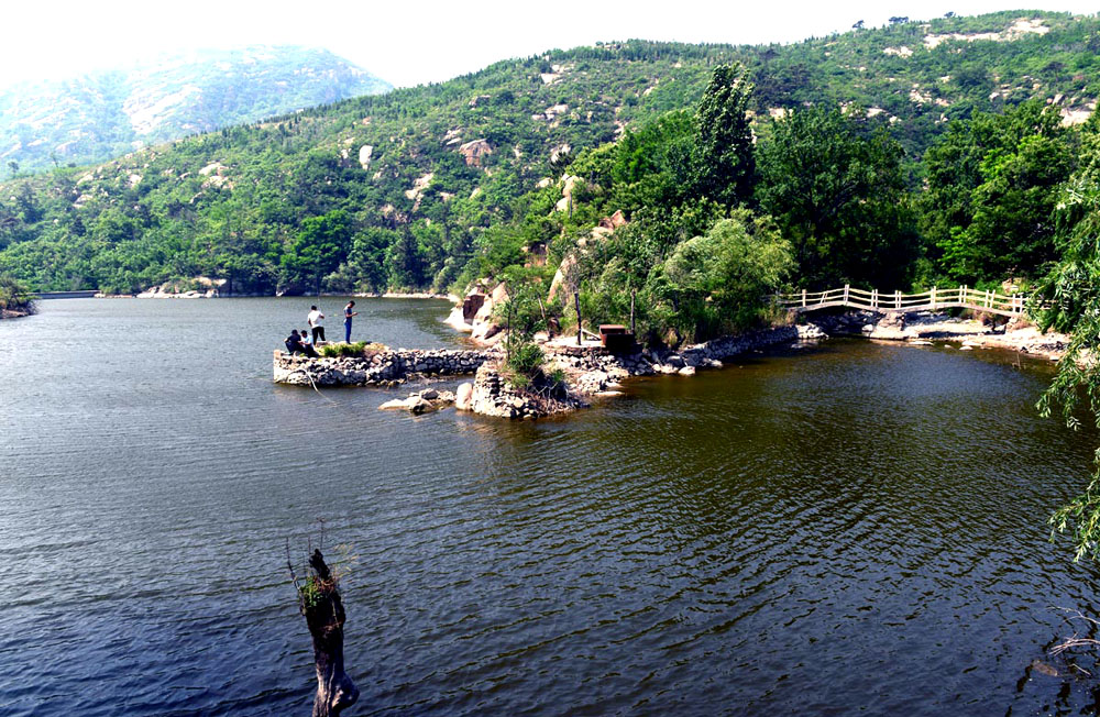 DSC_7505.JPG