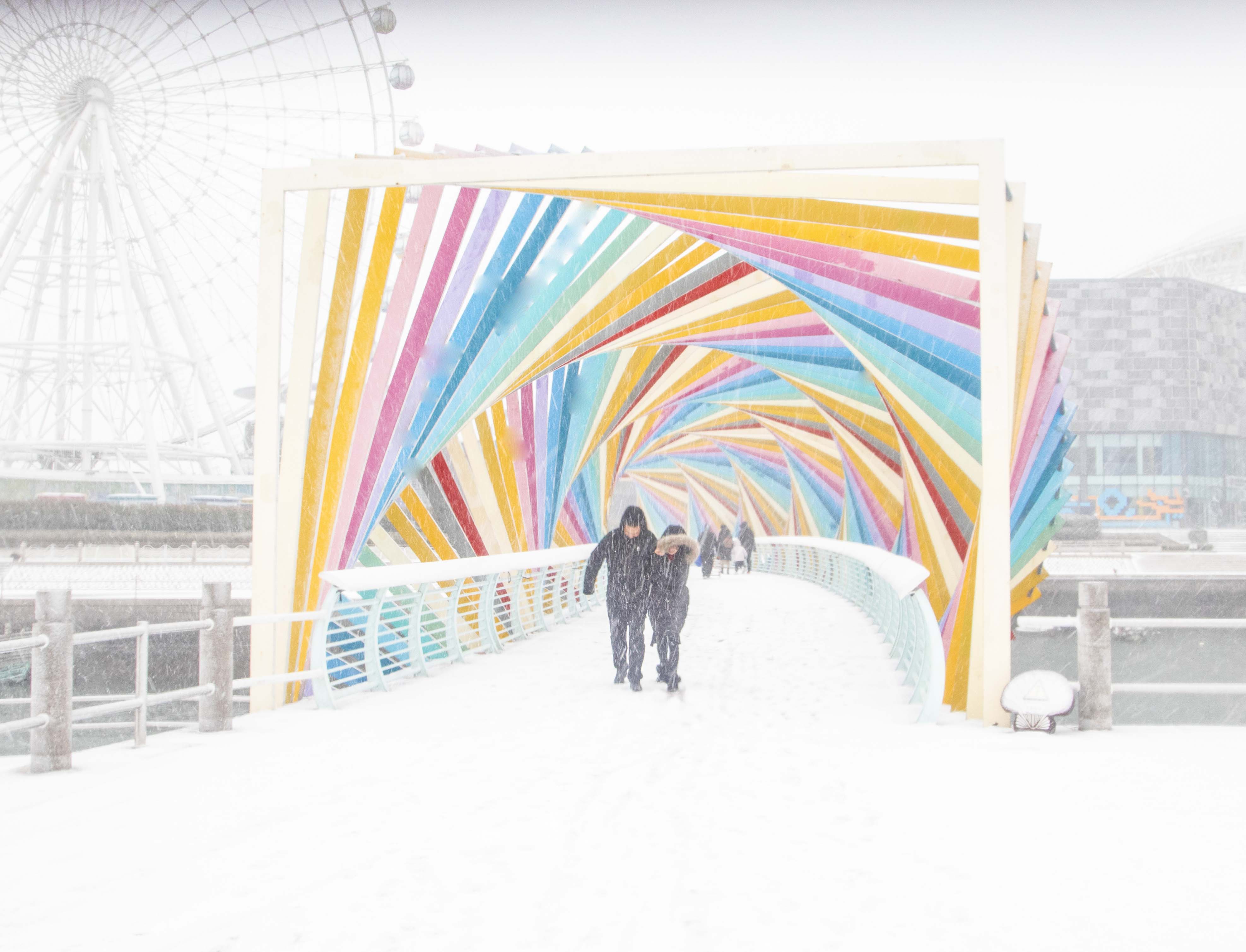 雪184A4214149.jpg