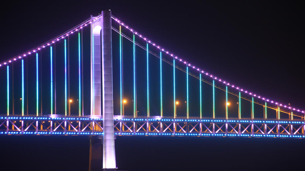 星海跨海大桥13.jpg