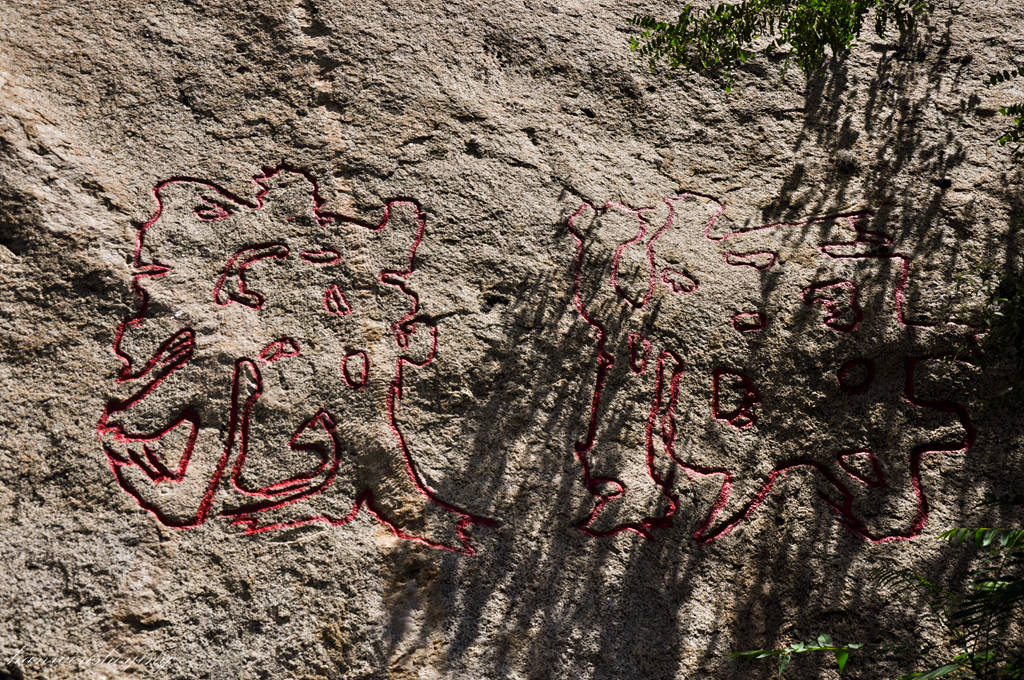 DSC_0062.JPG
