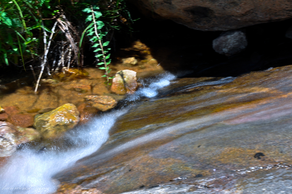 DSC_0124.JPG