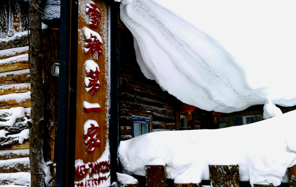 _DSC9511.JPG