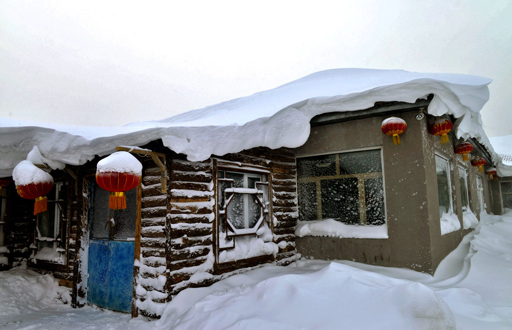 _DSC9525.JPG