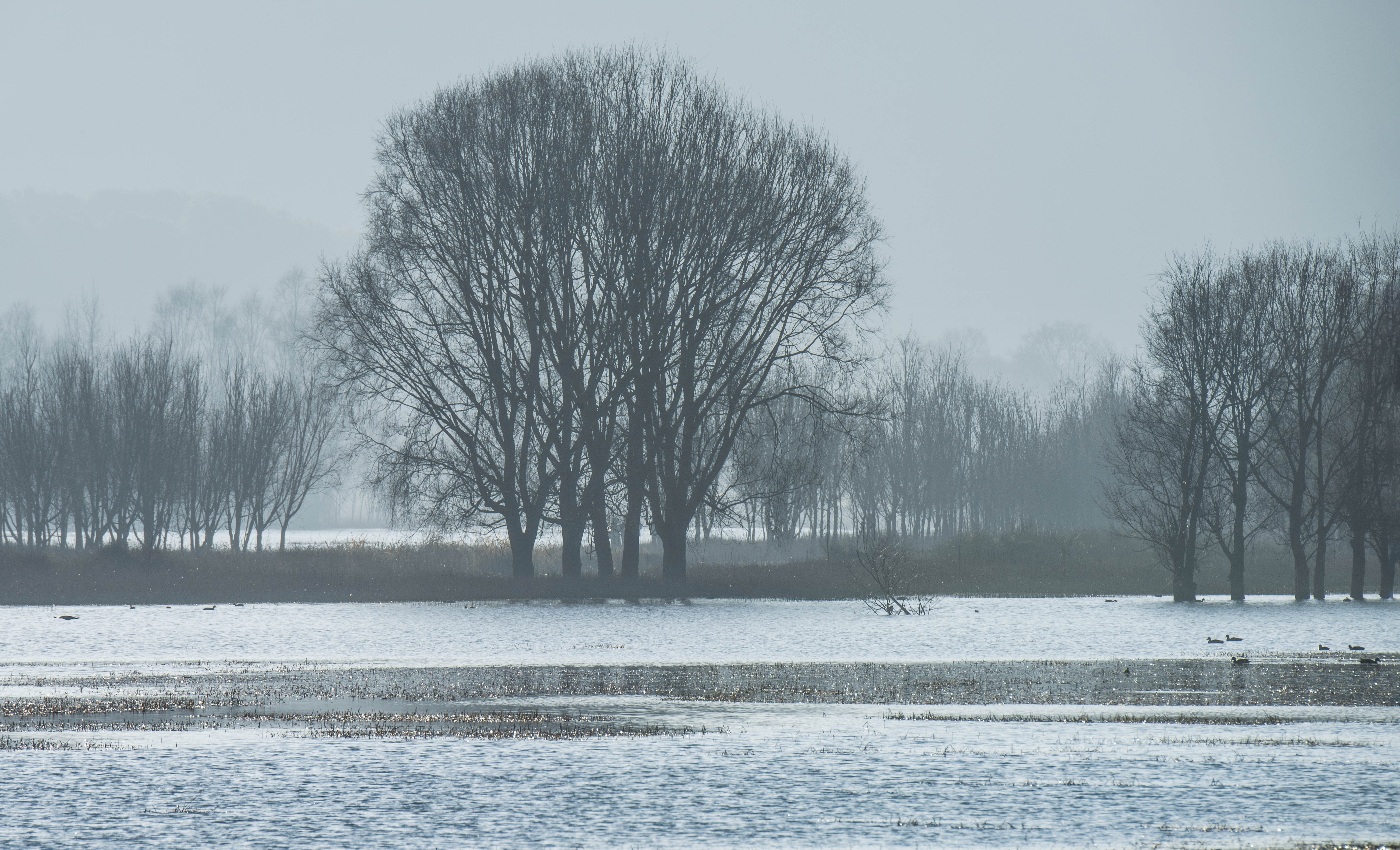 11DSC_4742.jpg