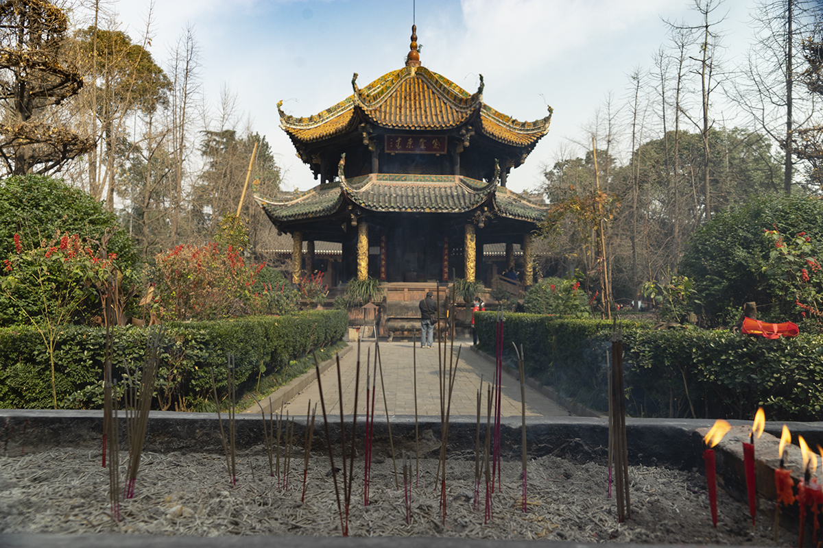 DSC03556-x.jpg