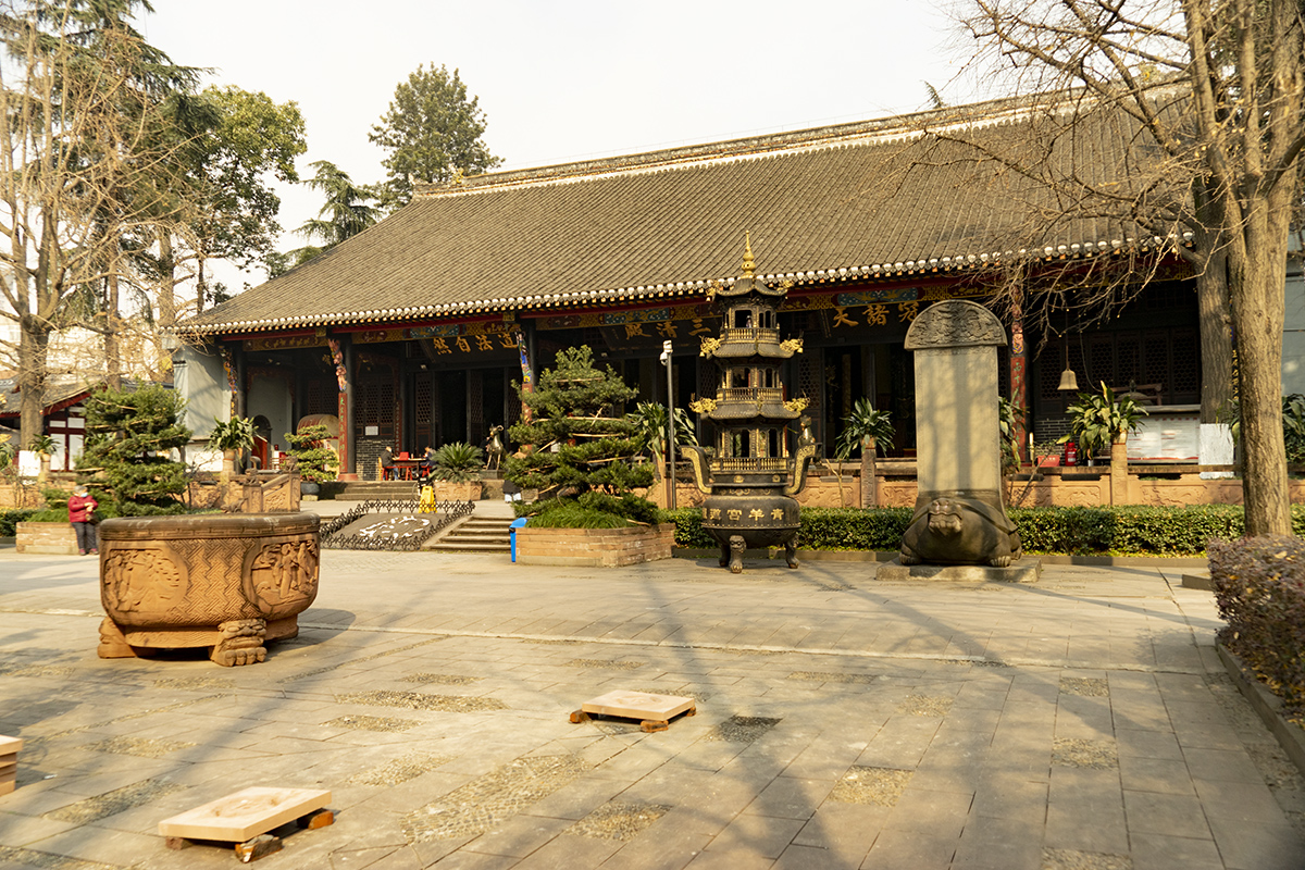 DSC03560-x.jpg