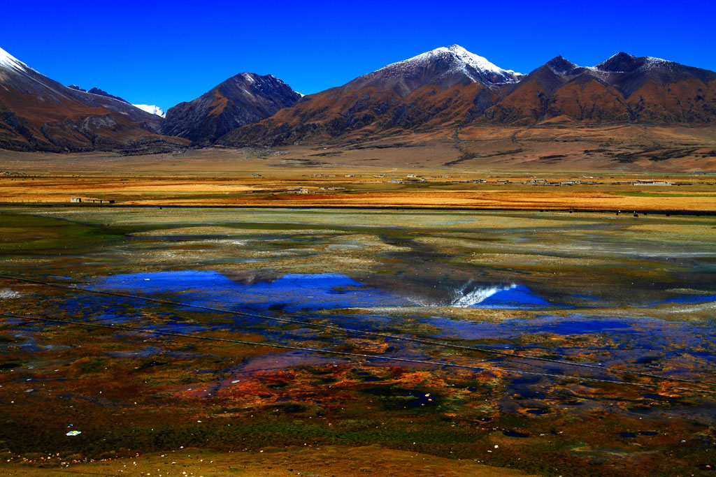 _MG_0890.JPG
